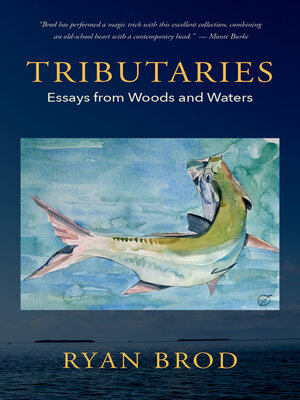cover image of Tributaries
